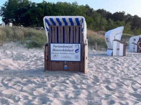 Meerschönheit in Zingst